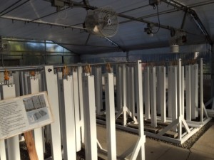 Standing white posts inside a metal shed