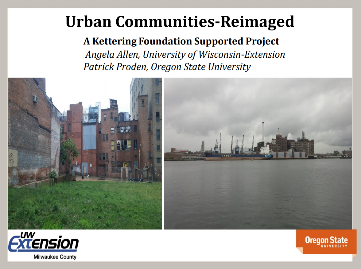 Webinar slide: Urban Communities-Reimagined