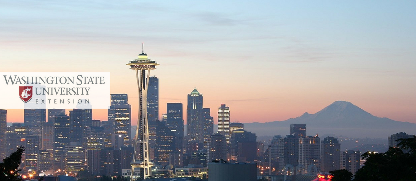 Seattle Skyline at sunset